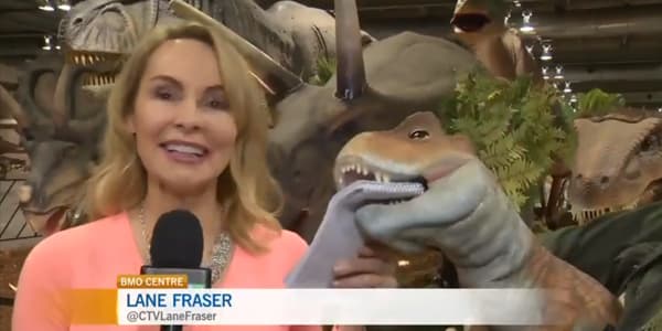 Image du segment de nouvelles