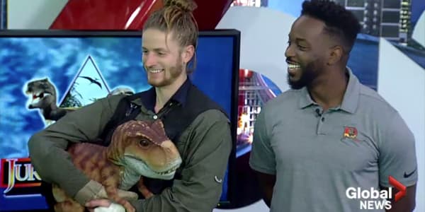 Image du segment de nouvelles