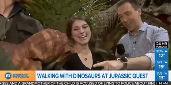 Image du segment de nouvelles