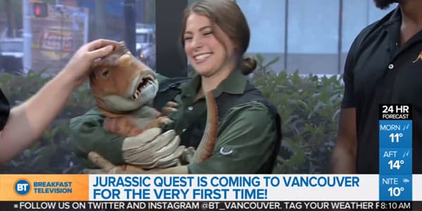 Image du segment de nouvelles