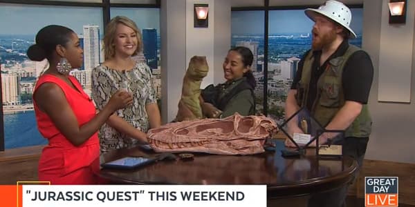 Image du segment de nouvelles