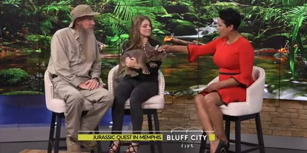 Image du segment de nouvelles