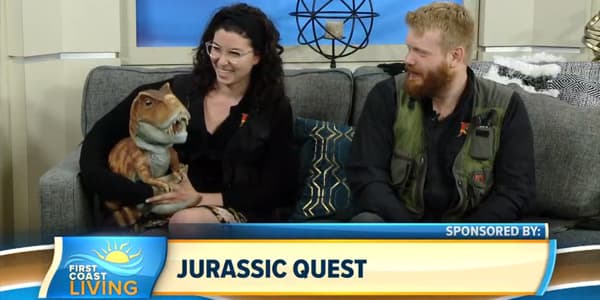 Image du segment de nouvelles