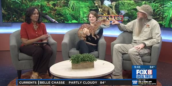 Image du segment de nouvelles