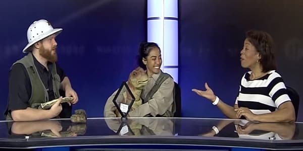 Image du segment de nouvelles