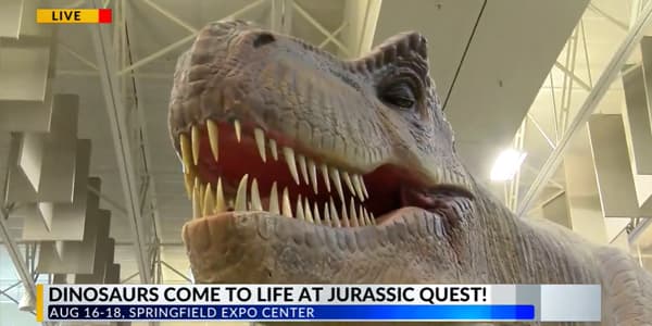 Image du segment de nouvelles