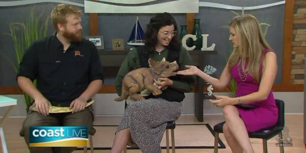 Image du segment de nouvelles