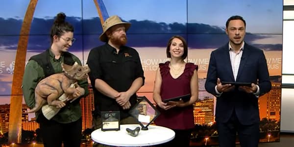 Image du segment de nouvelles