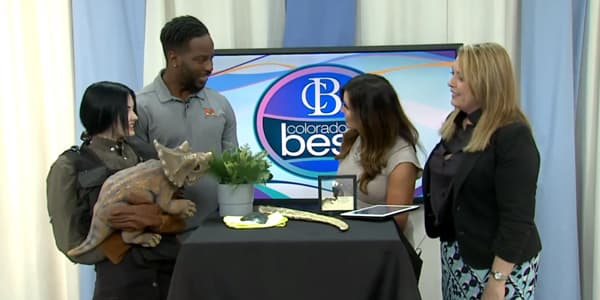 Image du segment de nouvelles