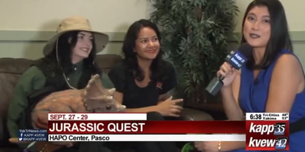 Image du segment de nouvelles