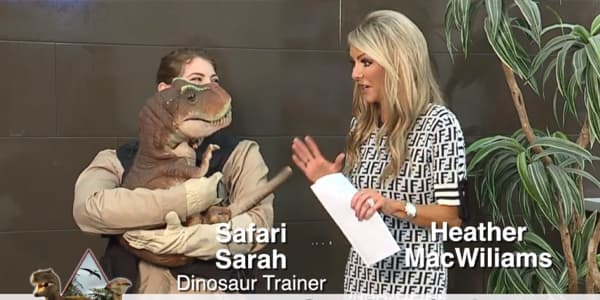 Image du segment de nouvelles