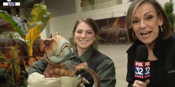 Image du segment de nouvelles