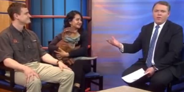 Image du segment de nouvelles