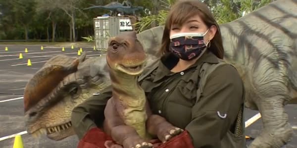 Image du segment de nouvelles