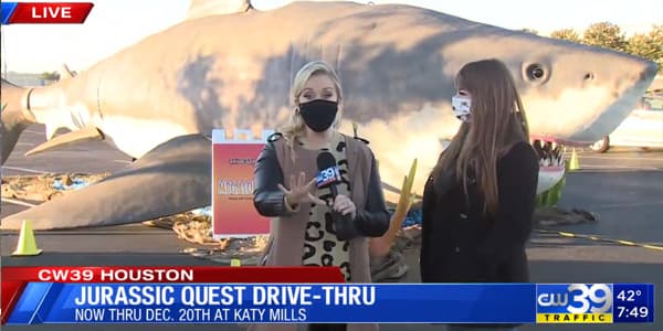 Image du segment de nouvelles