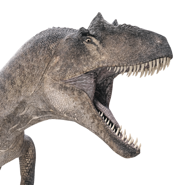 Allosaurus