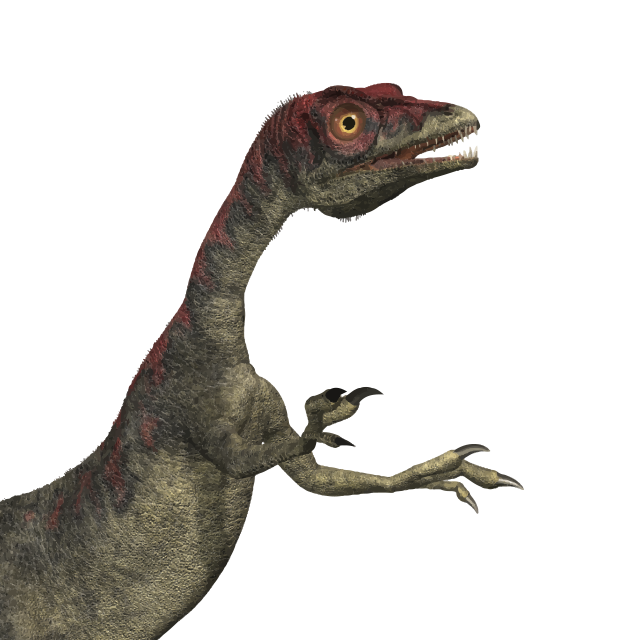 Compsognathus